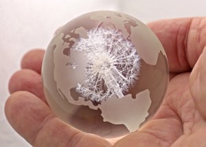 image of dandelion crystal globe
